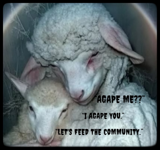 slogan. "Agape me?
"i Agape you."
"let's feed the community."